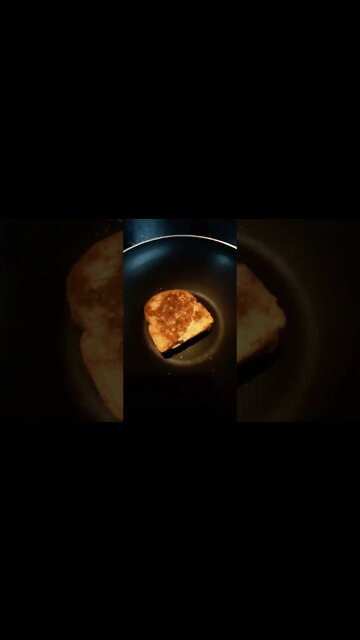 #grilledcheese #flip #ohhighbud #strangedanimal