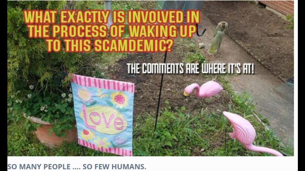 SO MANY PEOPLE .... SO FEW HUMANS.