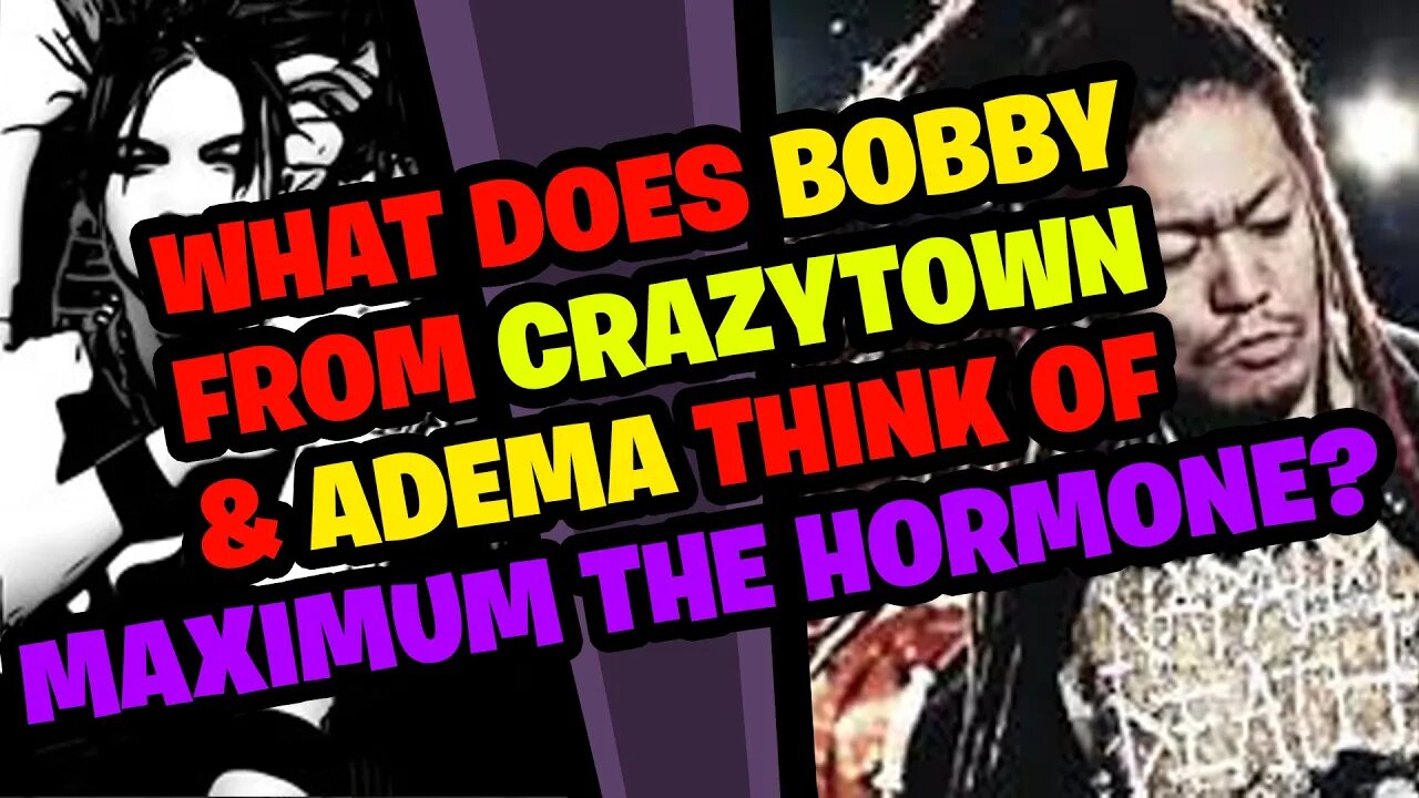 What does BOBBY REEVES (CRAZYTOWN & ADEMA) think of MAXIMUM THE HORMONE???