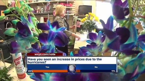 Local businesses impacted by Hurricane Irma