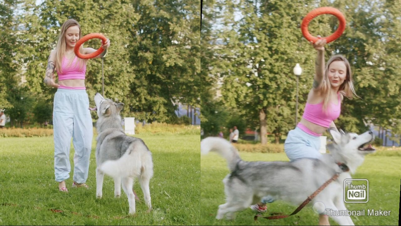 Person Playing with a Dog at the Park