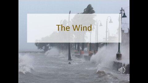 The Wind