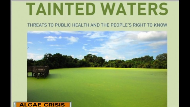 ACLU: State put public health at risk during 2016 algae crisis