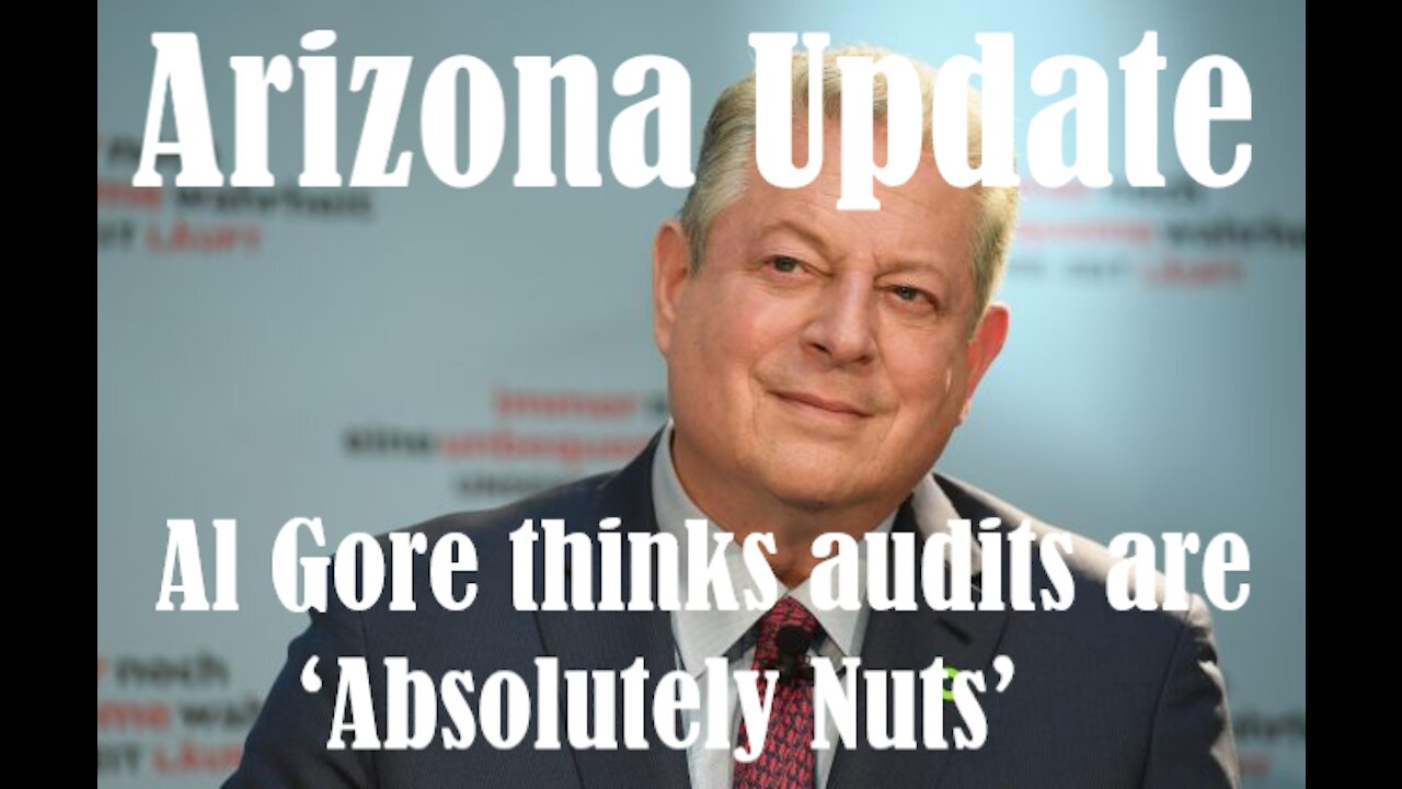 Al Gore claims election audits are ‘Absolutely Nuts’