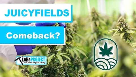 🌿​ Juicyfields Comeback?? 🌿 ​ Die neue Crowdgrowing Plattform ist online #juicyfields