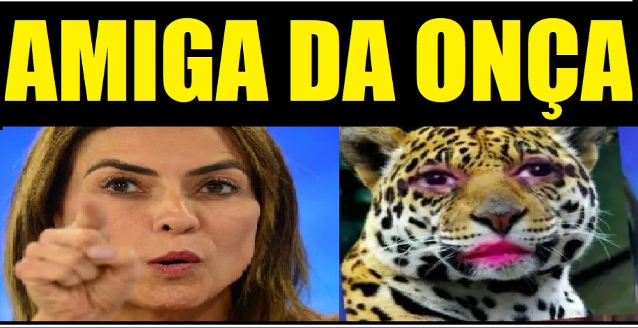 SORAYA THRONICKE A AMIGA DA ONÇA DE JAIR BOLSONARO
