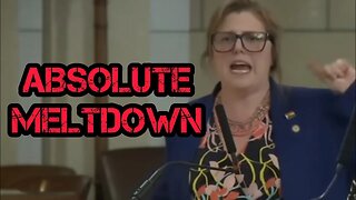 Democrat Senator Has A HILARIOUS MELTDOWN!