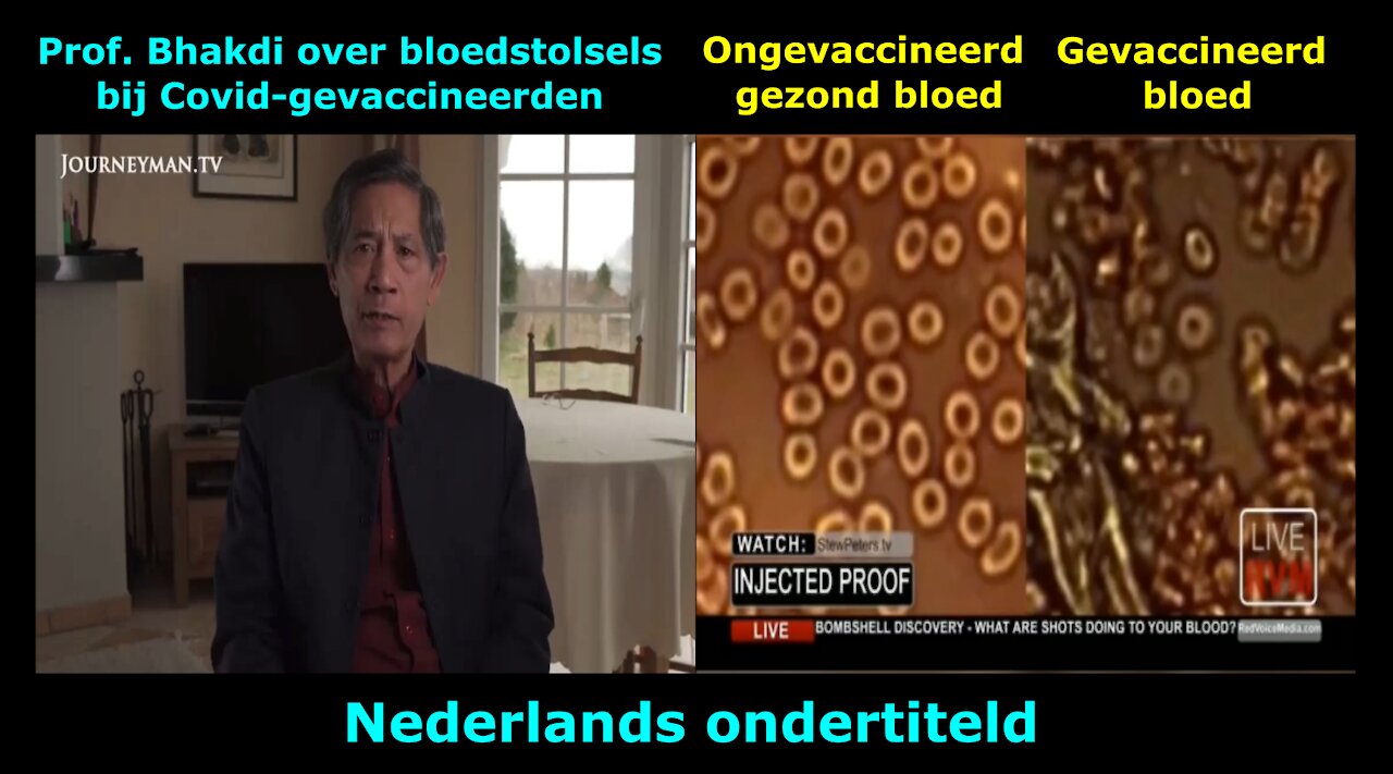 Prof. Bhakdi & Dr. Ruby over bloedstolsels bij Covid-gevaccineerden - een NLs videoverslag