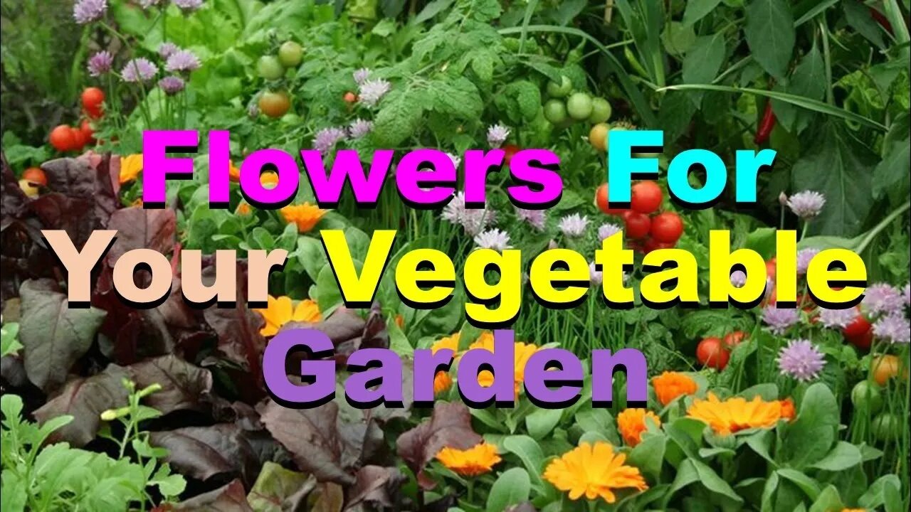 No. 992 – Flowers For Your Vegetable Garden