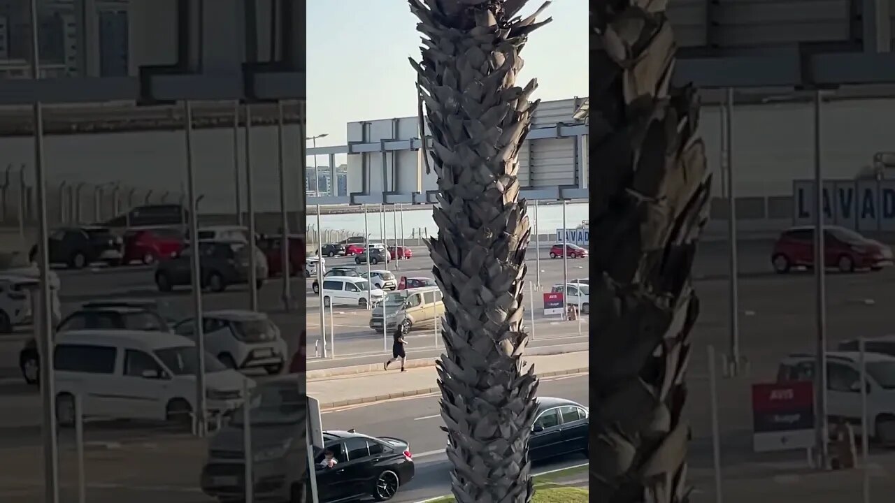 easyJet flight comes in for an Evening Landing at Gibraltar Airport