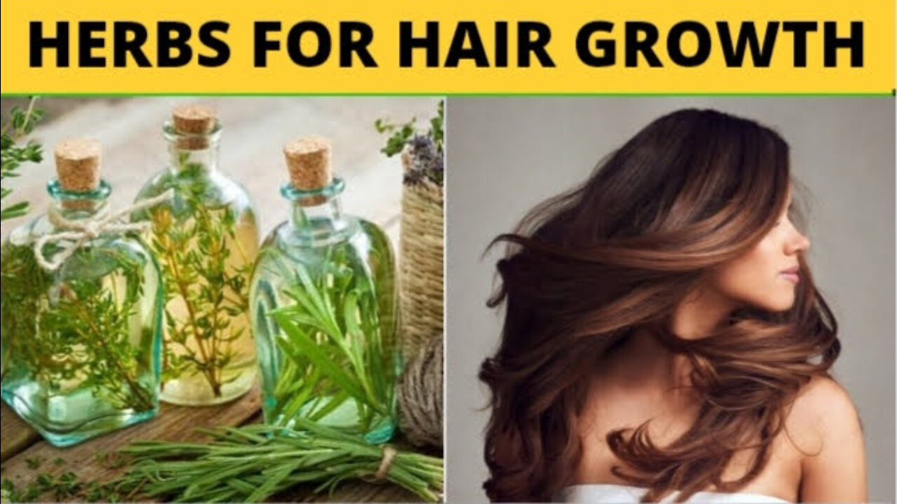 Best Herbs For Longer, Thicker Hair Growth