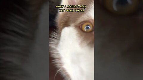 When I lick moms phone…