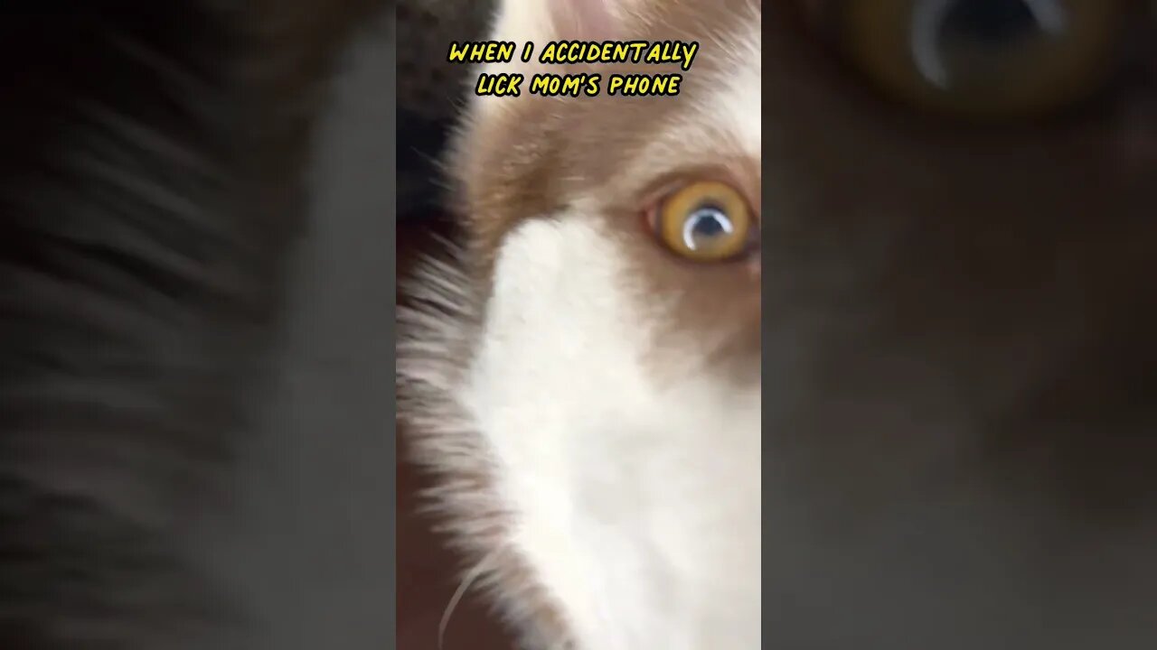 When I lick moms phone…