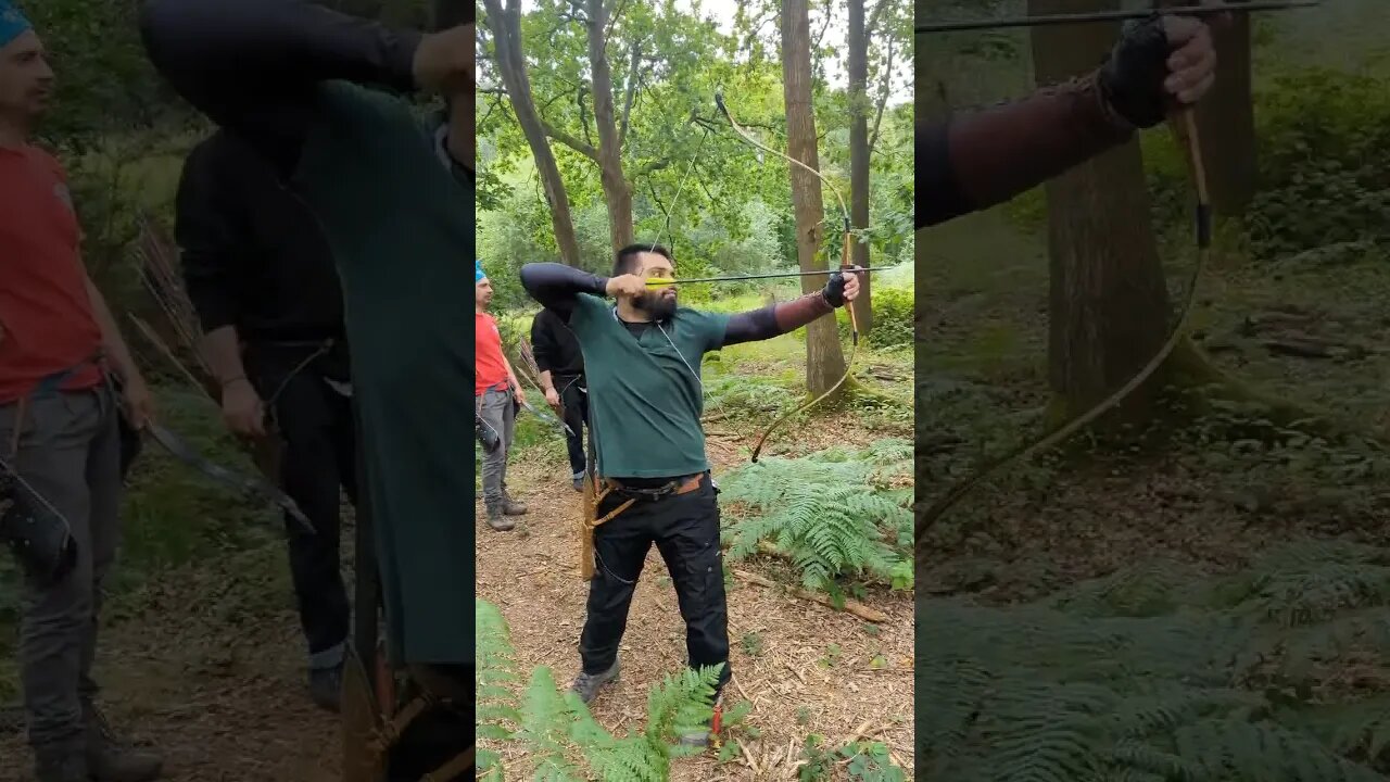 101LBS Tiron Bow 3 Shots at 1 Target.