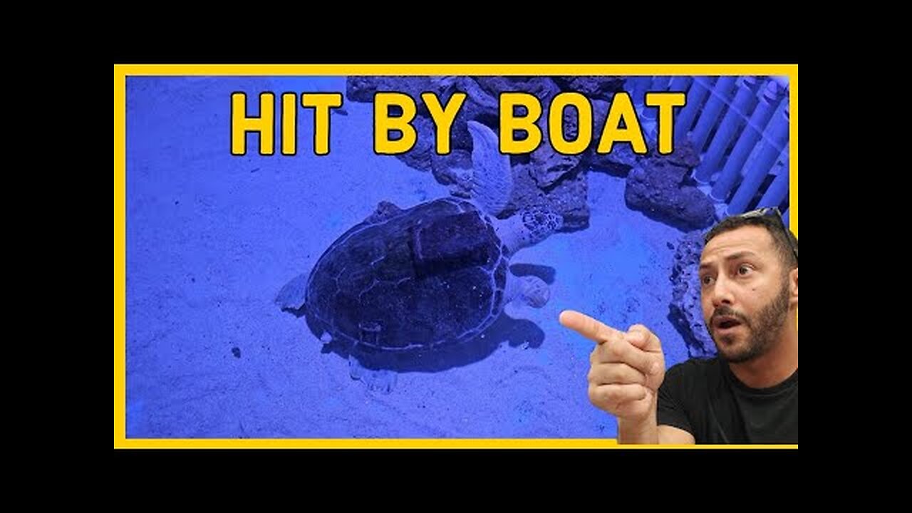 A Boater Nearly Killed Him!