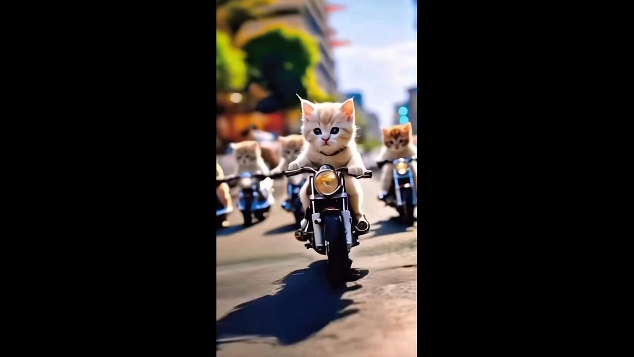 cat police officer veri nice video