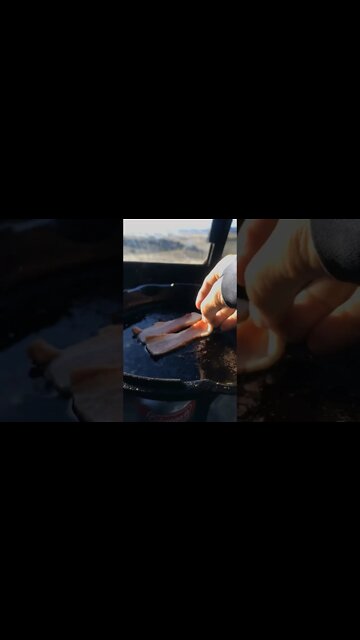 Probably Pushing My Luck w/ Bears - Living In My 4x4 Tacoma