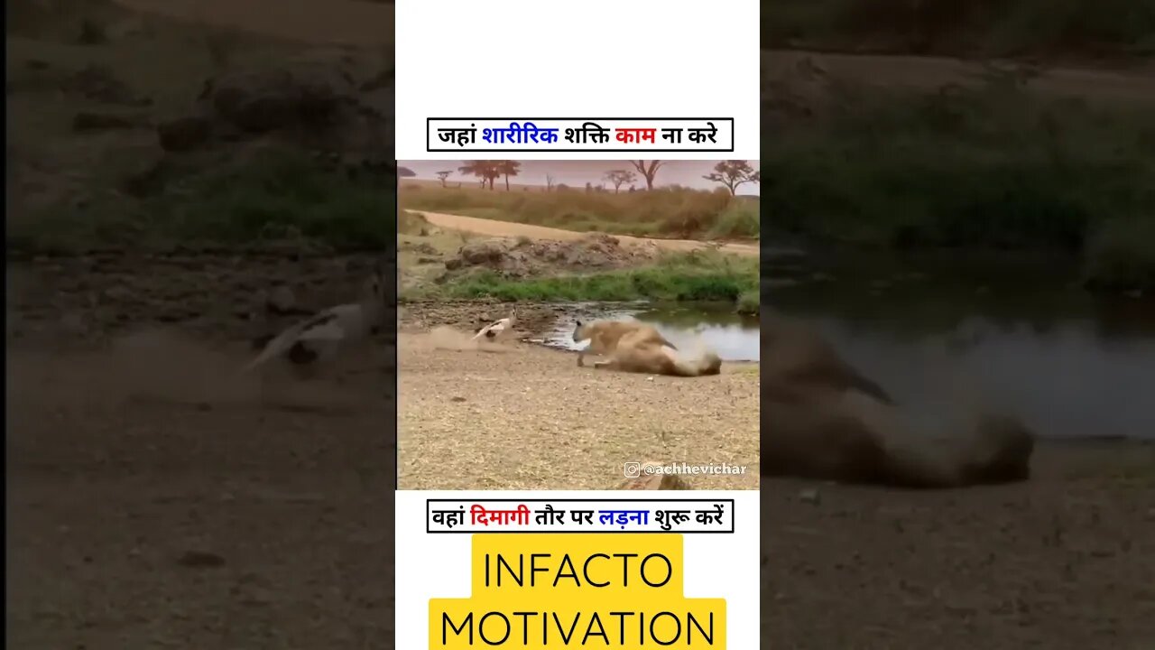 जहां शारीरिक शक्ति काम न करे वहां दिमाग से काम लेना चाहिए 😱😱😱 #shorts #infacto_motivation