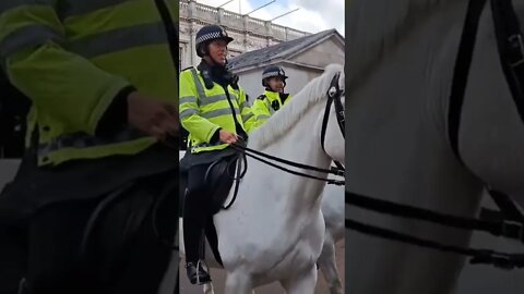 White met police horses #horseguardsparade