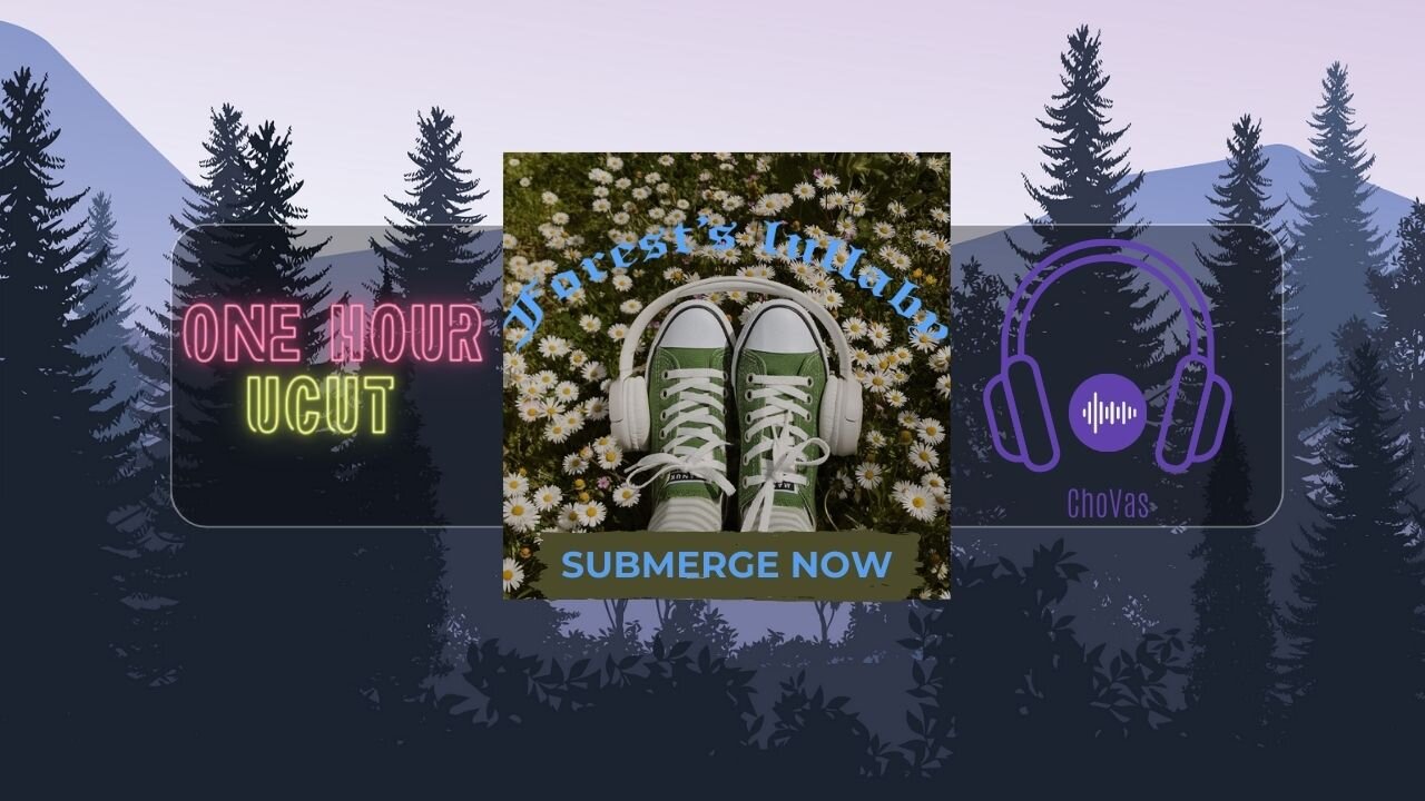 🌲Forest's lullaby 🌲One hour of continual music🌿Calming music🎵for focus