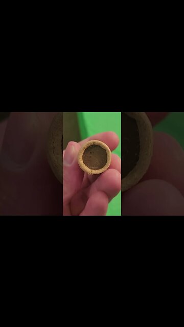 VINTAGE Indian Head Penny ROLL!