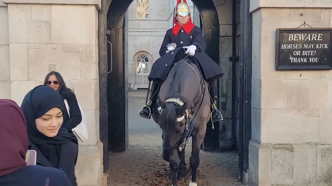 Touch the Reins for your photo #horseguardsparade