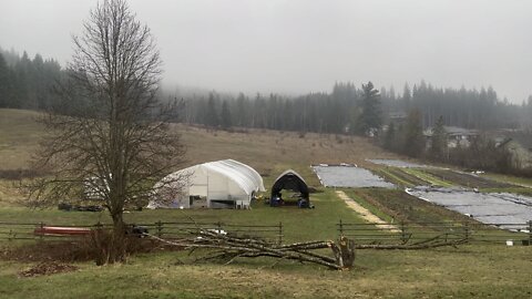 Beautiful Foggy Morning In British Columbia