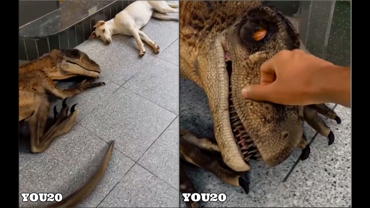 Oh my gosh this dinosaur looks so real, but they both look cute together 🐶🦖