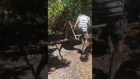 Man vs Nature
