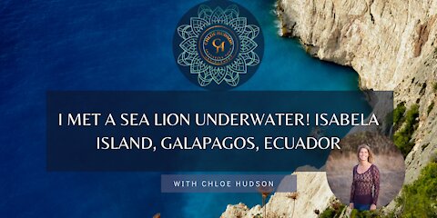 I Met a Sea Lion Underwater! Isabela Island, Galapagos, Ecuador