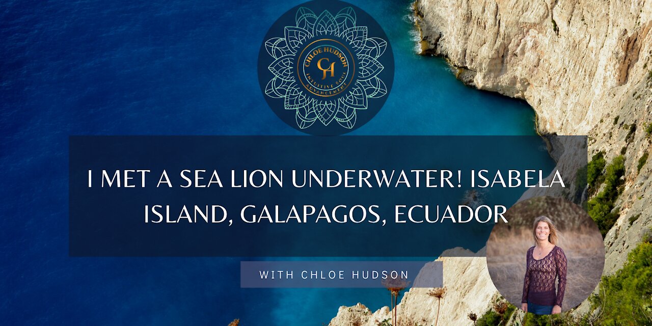I Met a Sea Lion Underwater! Isabela Island, Galapagos, Ecuador