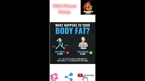 🔥What happens to your body fat🔥#fitness🔥#wildfitnessgroup🔥#shorts🔥