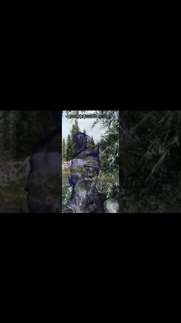 you wont believe who i found in skyrim