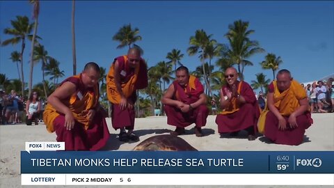 Tibetan monks help release sea turtle in Florida Keys