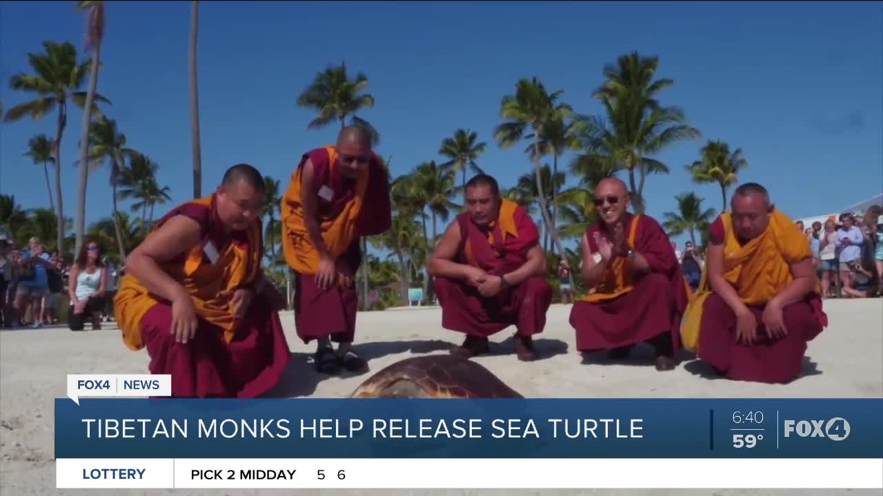 Tibetan monks help release sea turtle in Florida Keys