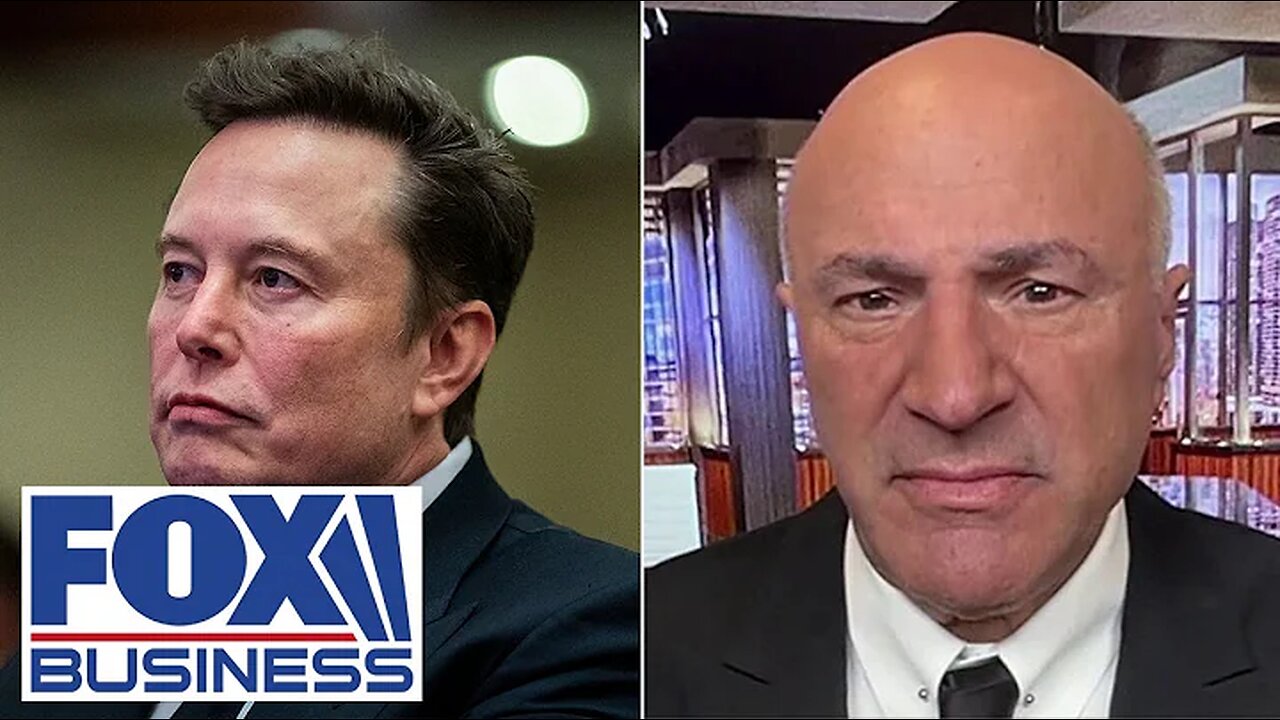 This is the power Elon Musk has: O’Leary loves ‘very contentious’ plan to cut spending