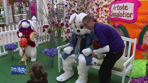 Easter bunny arrives at Bay Park Square Mall