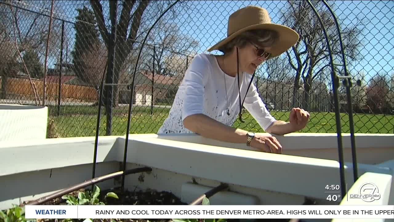 Denver7 Everyday Hero weeding out hunger at Denver's South High School