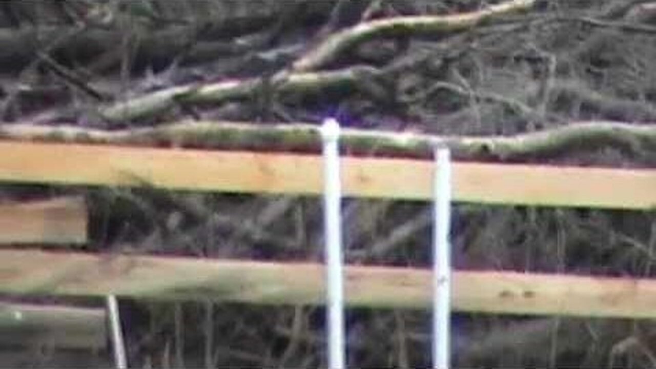 Long range egg shooting