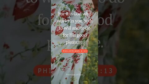 25/365 Promises of God everyone should know. ❤️#God #bible #trending #trend #viralvideo #viralreels