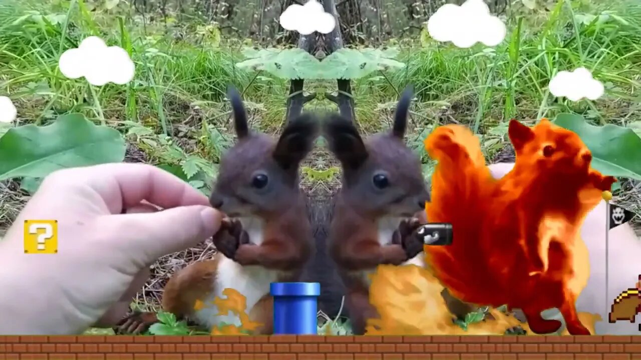 Esquilo bugado SCRAT aventura ninja
