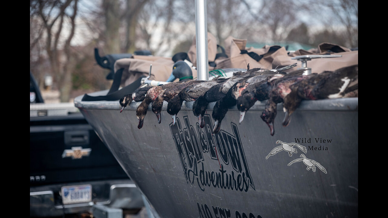 Lake Erie diver hunting!