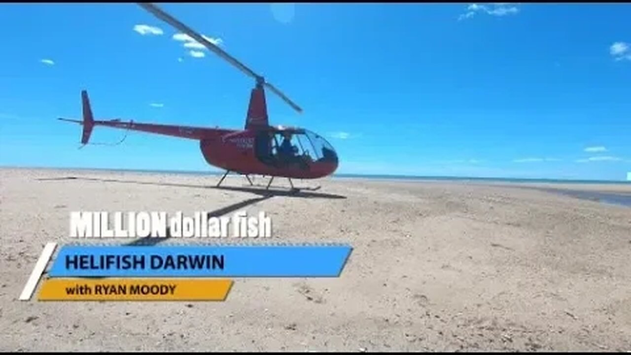 Helifish Darwin for the Million dollar fish | NT Dreaming