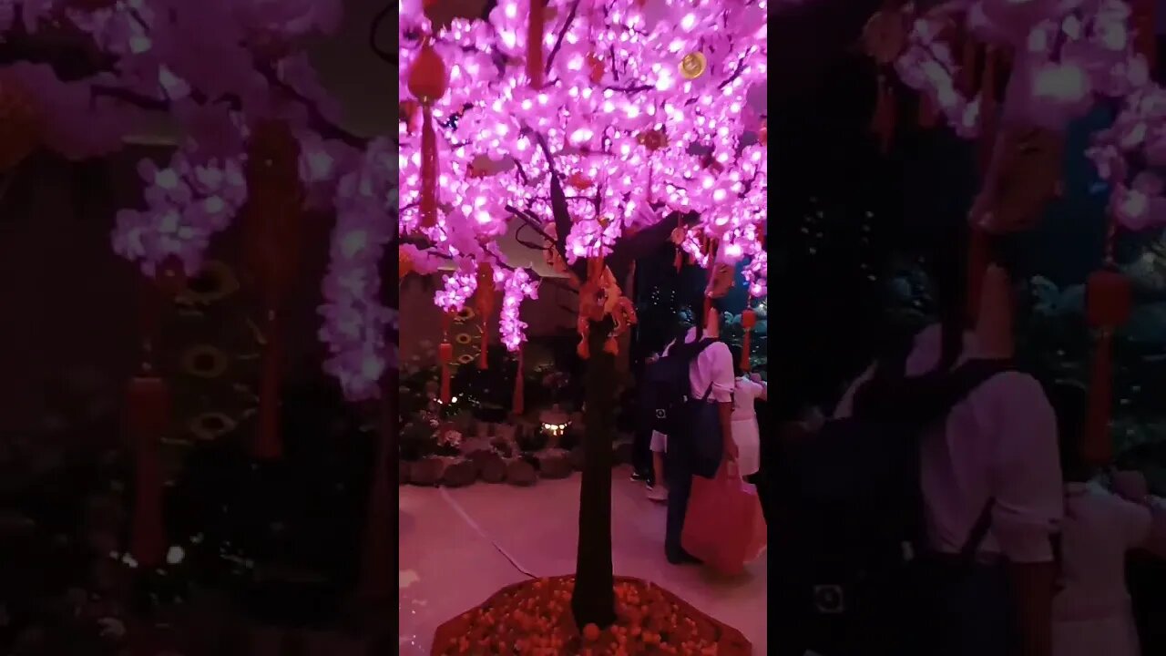 lunar new year tree