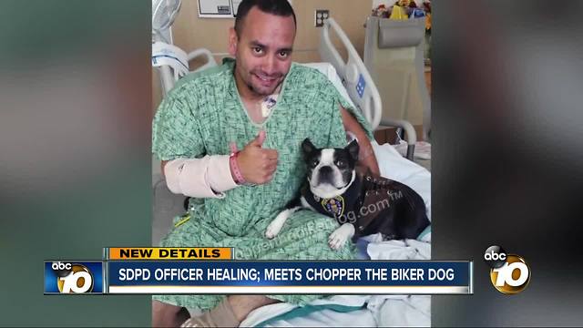 SDPD officer healing; visited by Chopper the Biker Dog