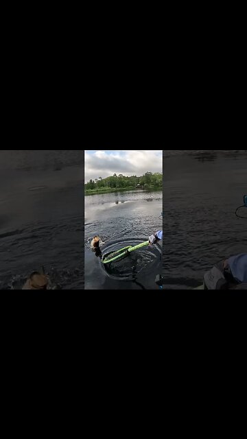 Wacked #shorts 3/25/23