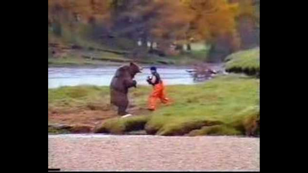 (funny) kung-fu bear commercial