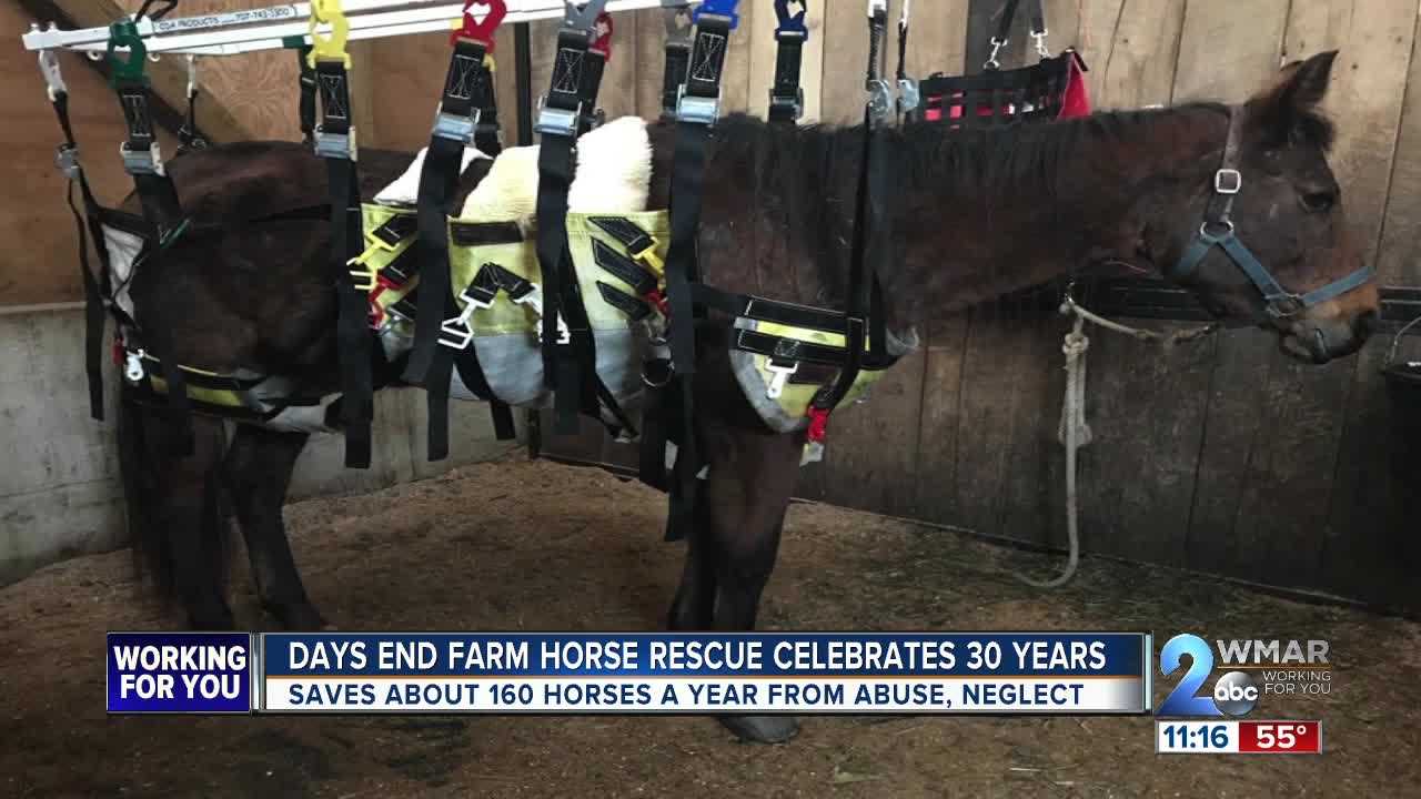 Days End Farm Horse Rescue celebrates 30 years