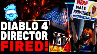 Blizzard IMPLODING Fires Diablo 4 Director & Lead World Of Warcraft Designers!