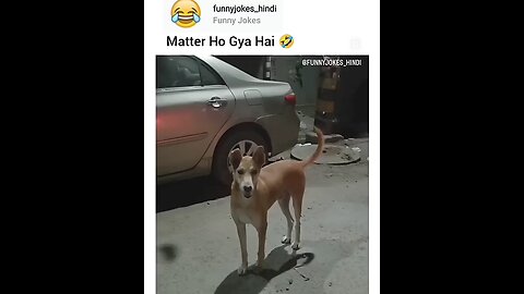 Dog Comedy Video | Matter Ho Gaya Bhaiyo 😀😁😂😂😂🤣🤣